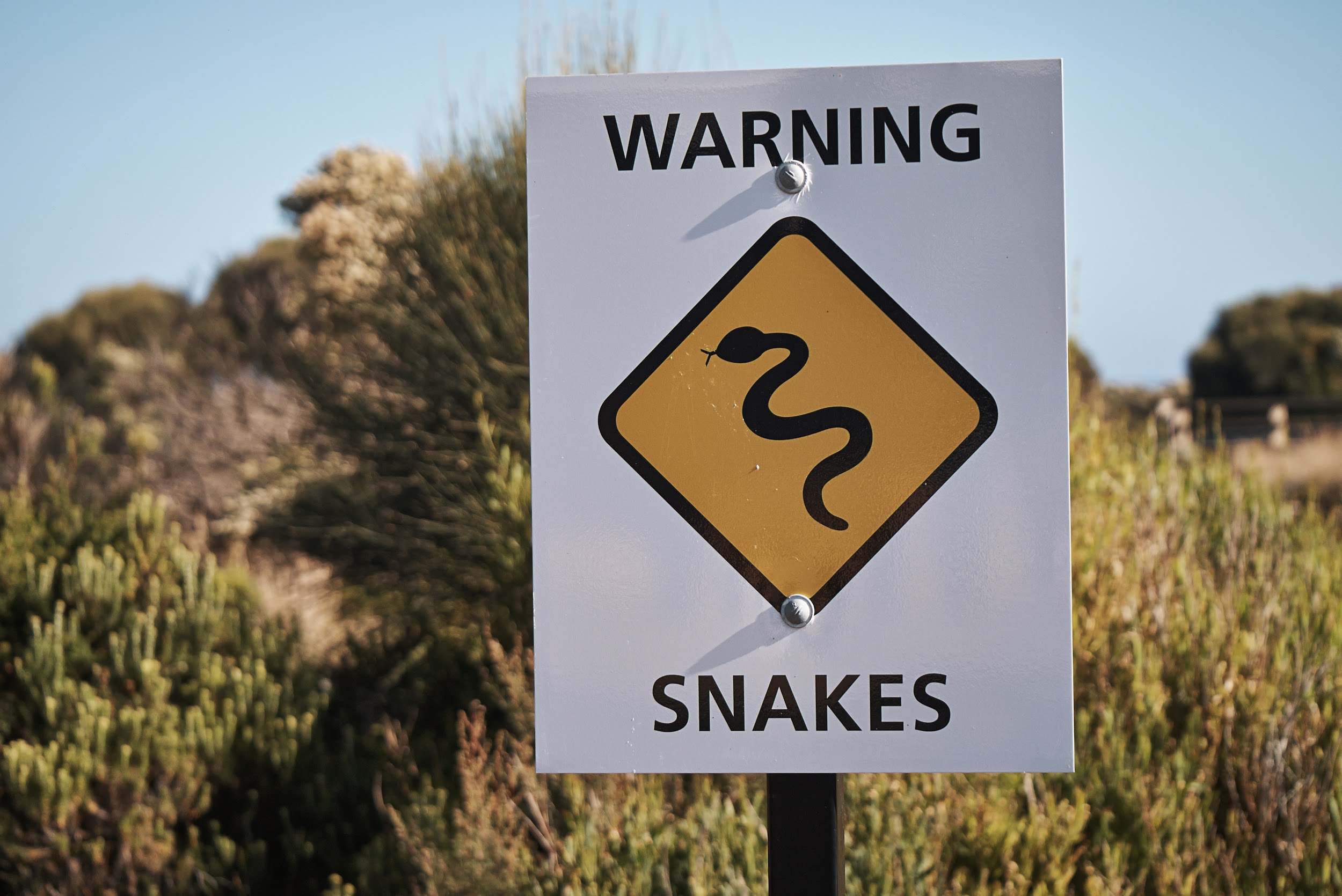 Warning Snakes - Beware of Snakes Sign