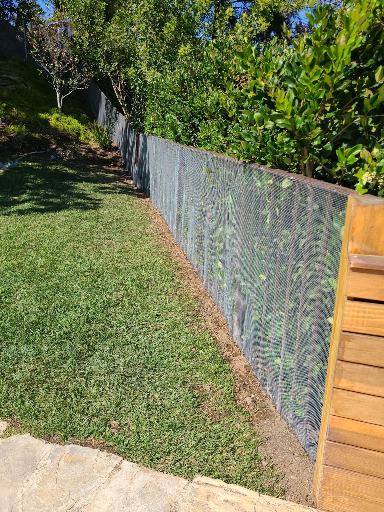 A picture of a snake proof fence that was installed by Animal Capture Wildlife Control.