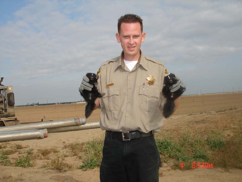 Jeremy Bailey with two baby skunks
