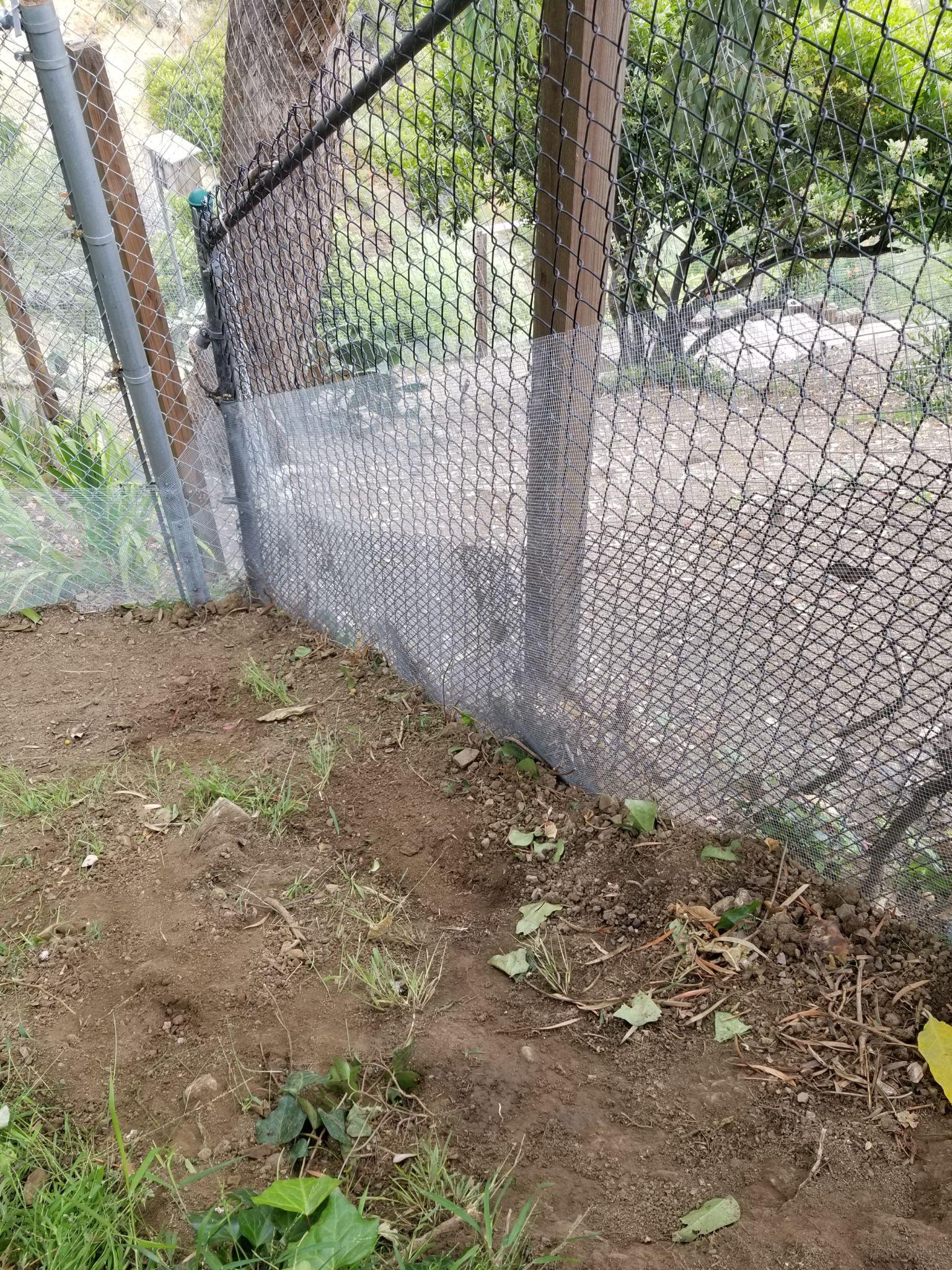A snake fencing project that was installed by Animal Capture Wildlife Control (picture 1 of 4).