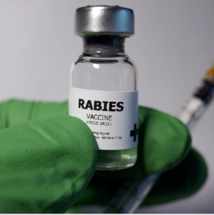 Rabies Vaccine