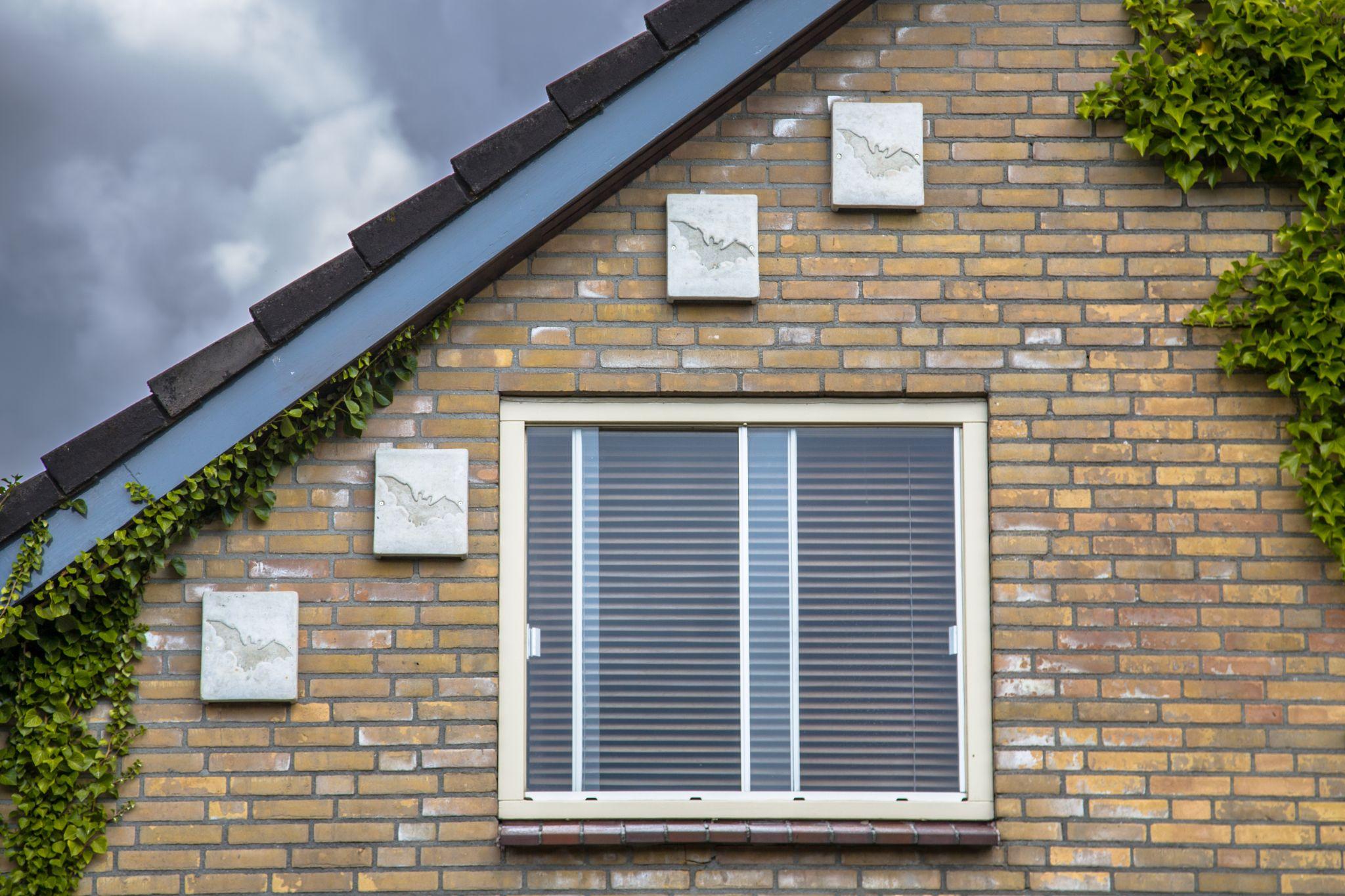 Bat houses on a building in urban environment