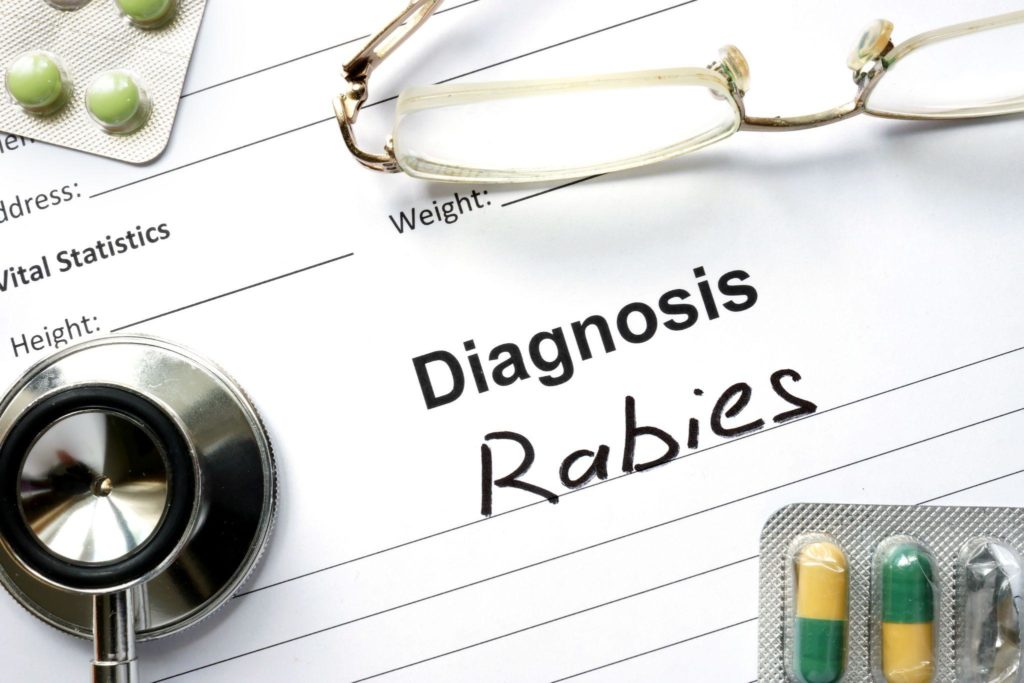 Doctor's rabies diagnosis
