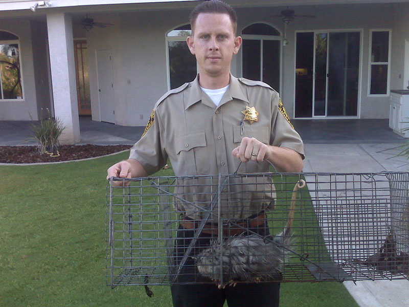 Jeremy Bailey photo clicked with opossum