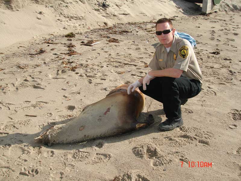 Jeremy Bailey photo click with seal